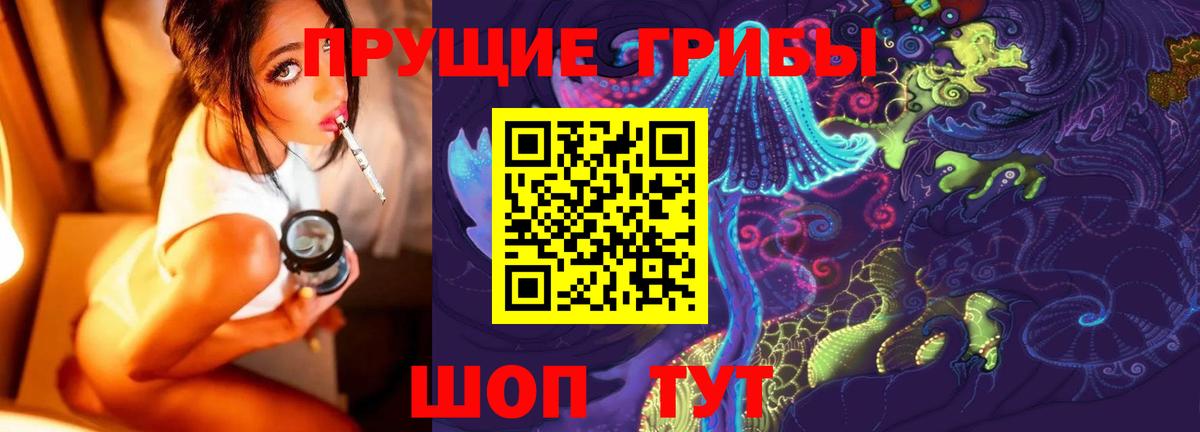 Псилоцибиновые грибы прущие грибы  Галлюциногенные грибы GOLDEN TEACHER  Светлоград  Вход с VPN 